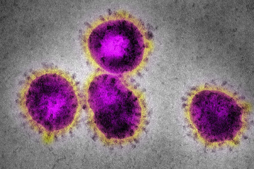 new surge of coronavirus