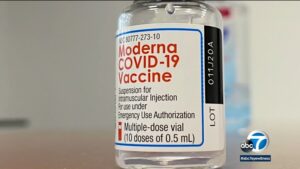 facial fillers and the covid vaccine